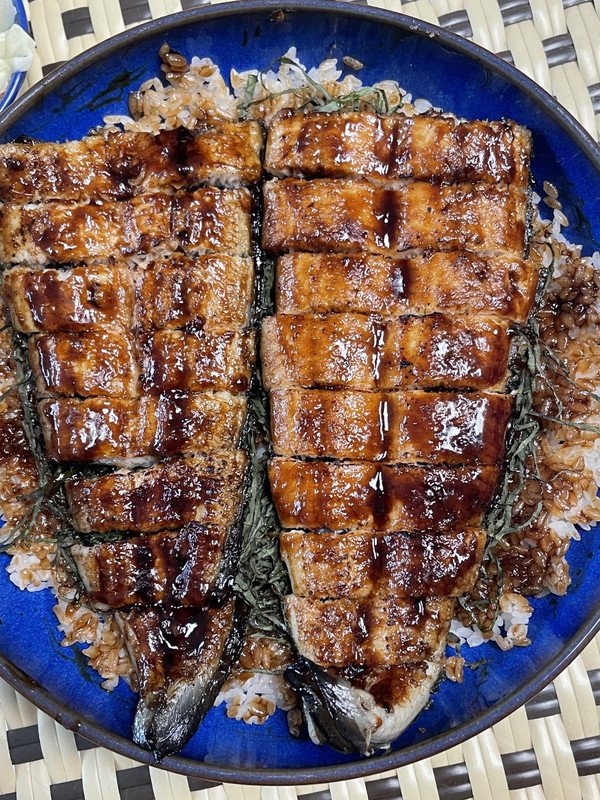 자연맛남 자포니카 풍천 민물장어 2-4미 2kg (1개) : 다나와 가격비교 [다나와] 자연맛남 자포니카 풍천 민물장어 2-4미 2kg (1개)