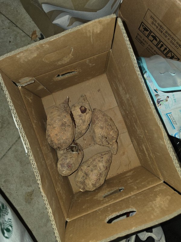 상품후기 썸네일 이미지